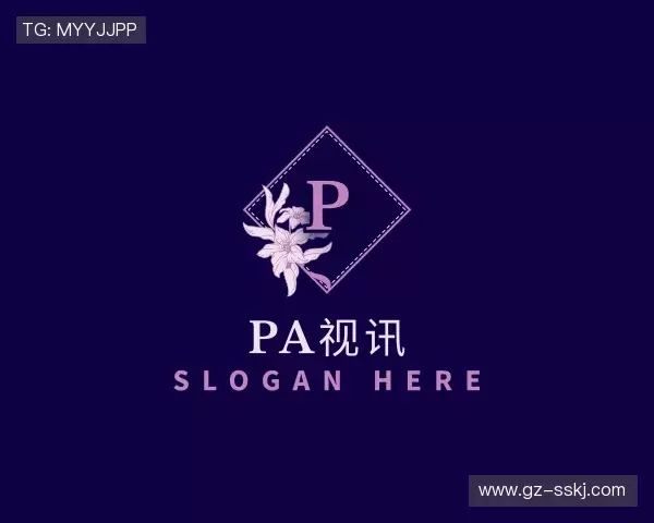 解读PA视讯